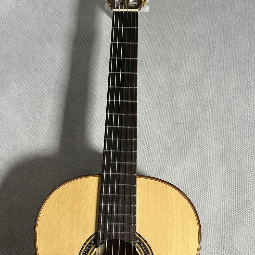 Luthier MH100 (no2501001)