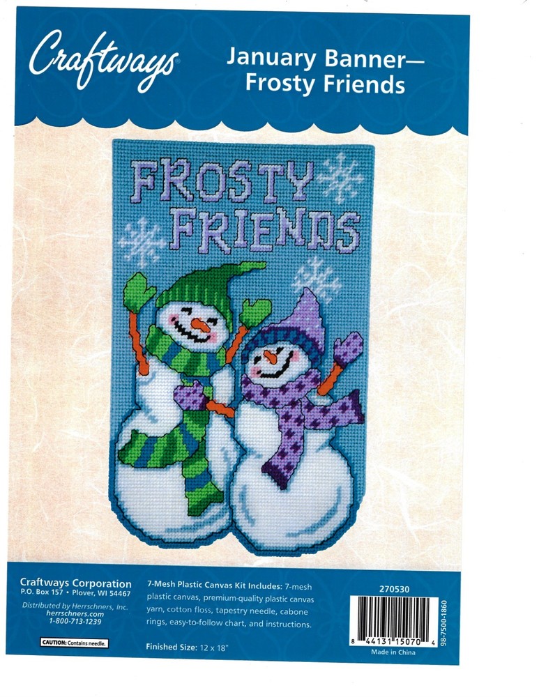 JANUARY BANNER  WALL HANGING 7ct  plastic canvas PATTERN  (#TF0359)