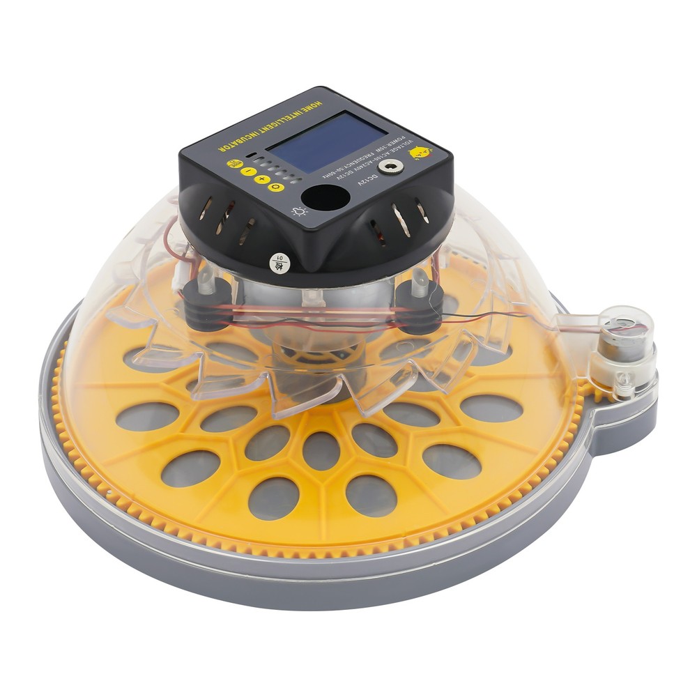 12 Eggs Incubator Egg Turning & Humidity Control Automatic For Hatching Eggs