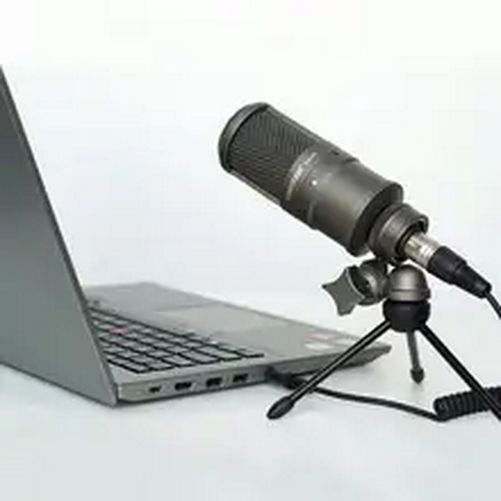 Studio Microphone/Recording Microphone, Condenser Microphone with Windpr