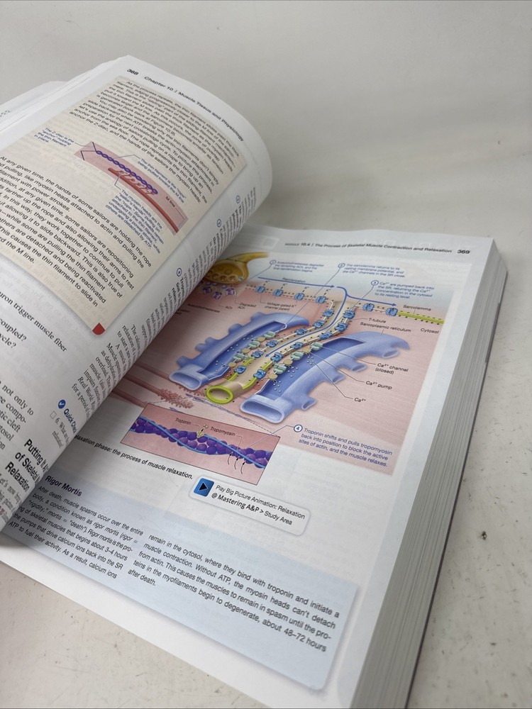 Human Anatomy & Physiology - Bound LooseLeaf- Third Ed. Pearson