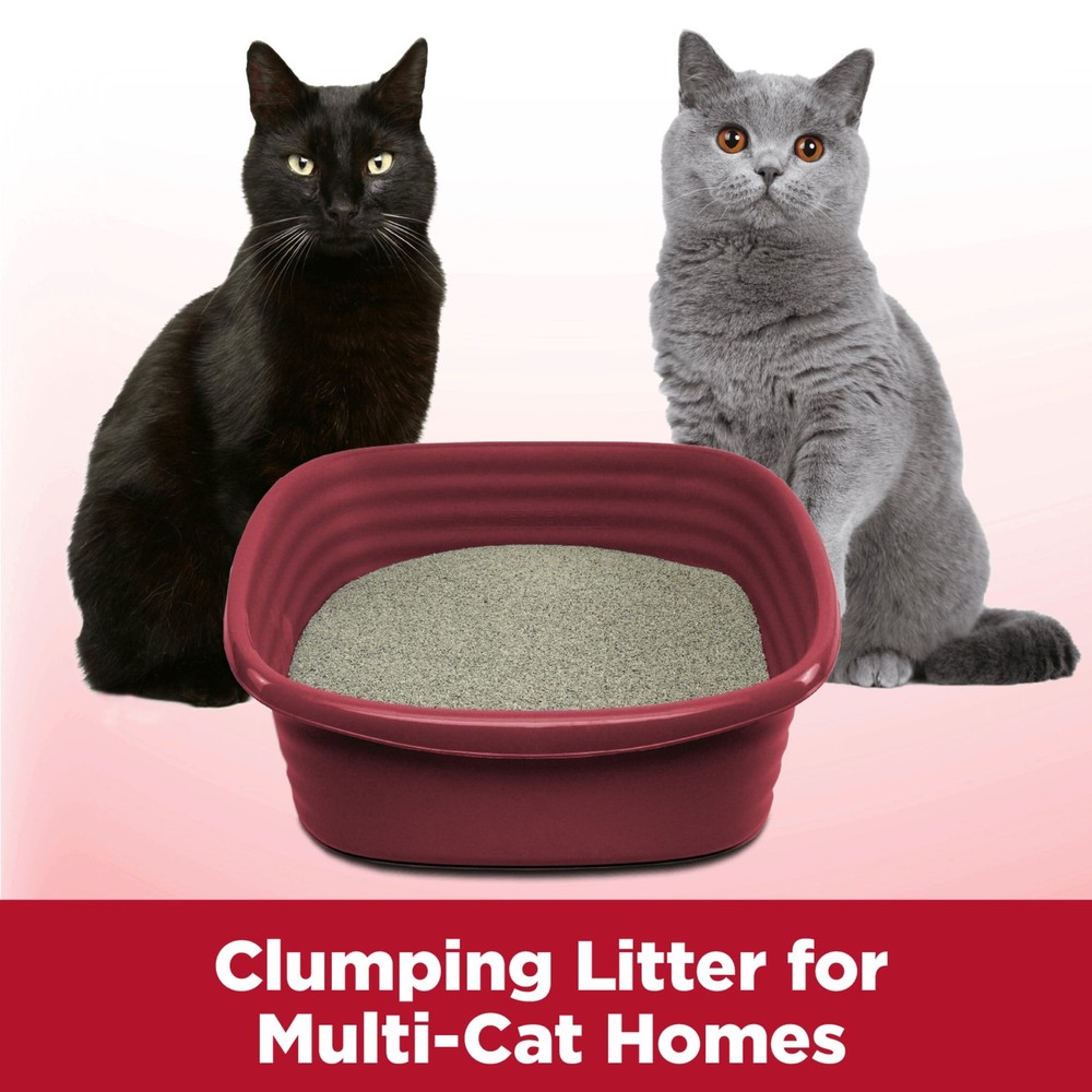 ARM & HAMMER Clump & Seal Multi-Cat Complete Odor Sealing Clumping