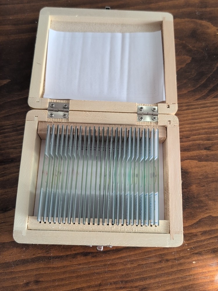 Able Microscope With Slides