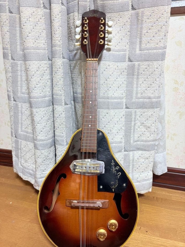 electric mandolin 8 string