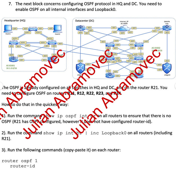 Cisco CCIE EI Lab Kit 2025 VM Ware Full topology/DOO Detailed Guide/DES section
