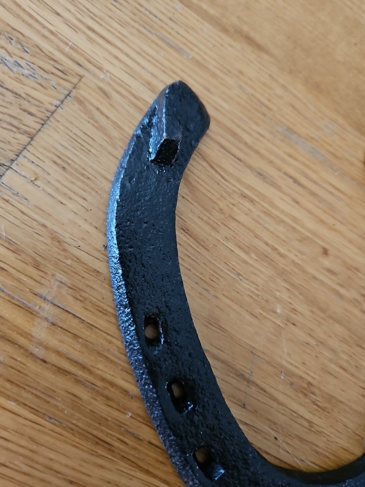 Black Decorative Horse Shoes