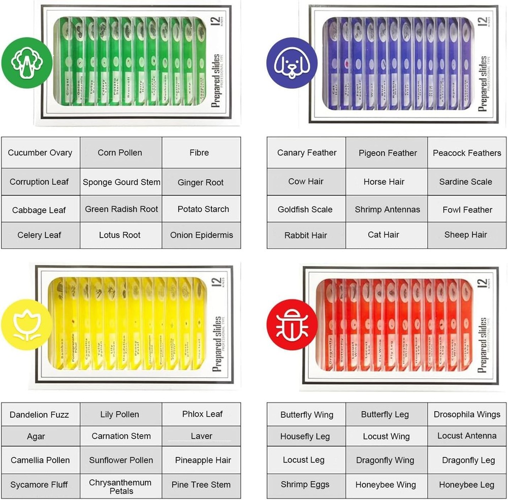 48-Pack Microscope Slides Featuring Plants, Insects - Perfect for STEM Learning