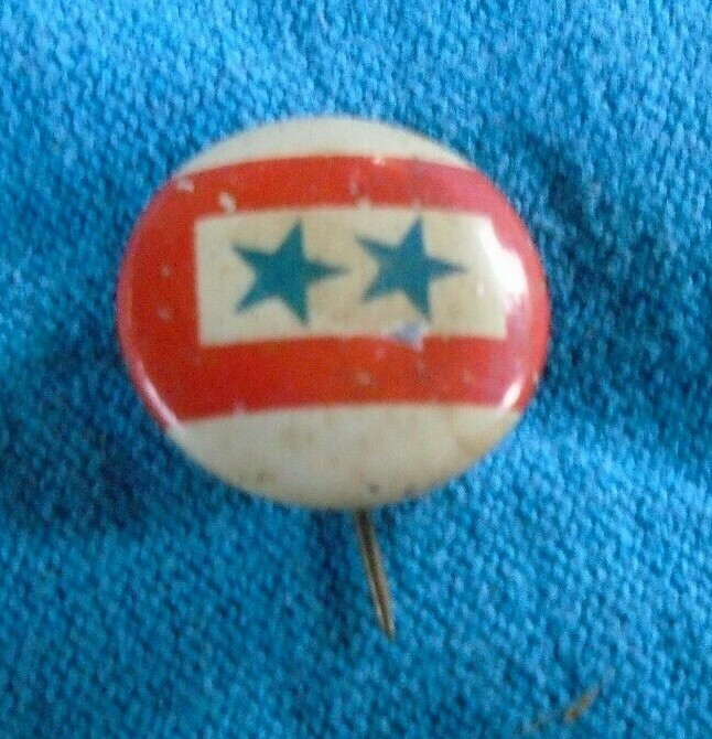 Two sons in service pin back button