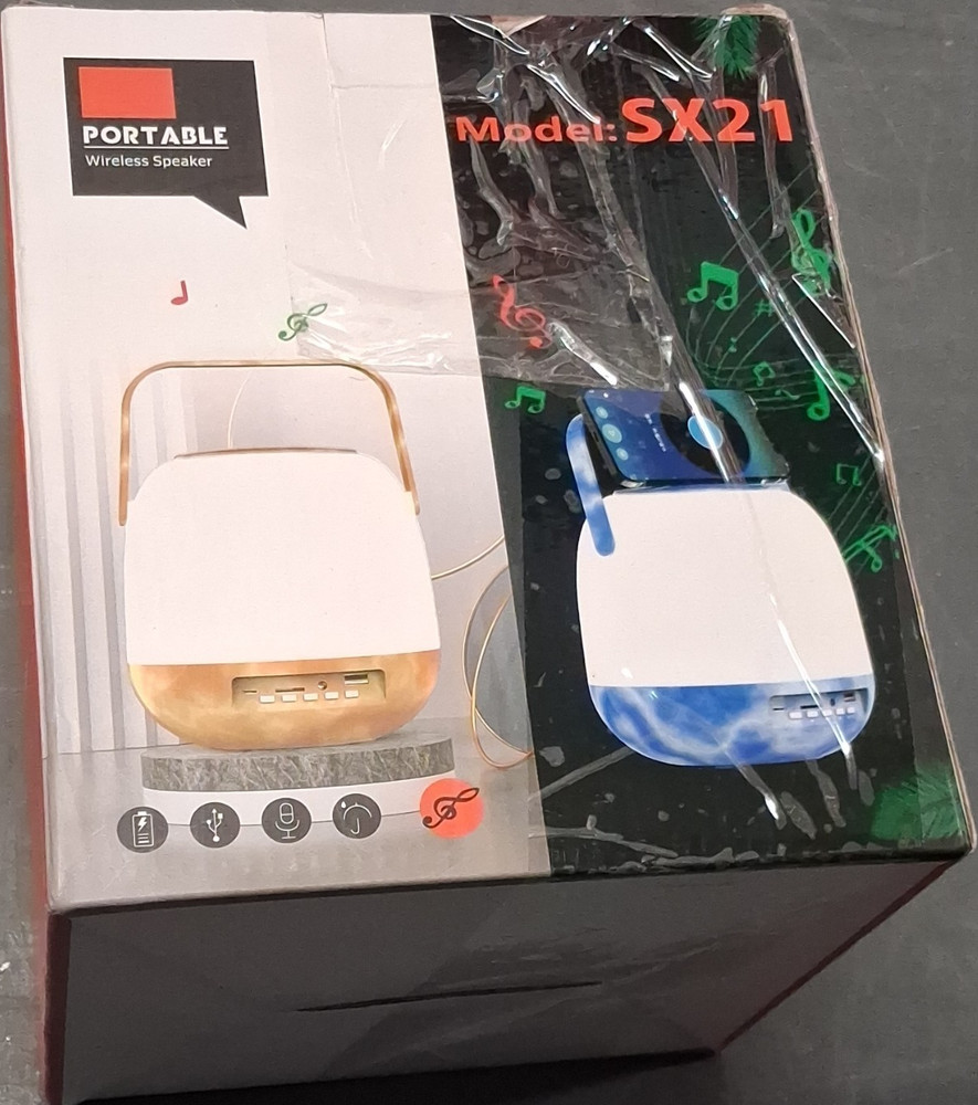 Portable SX21 Wireless Speaker White USB Input Microphone