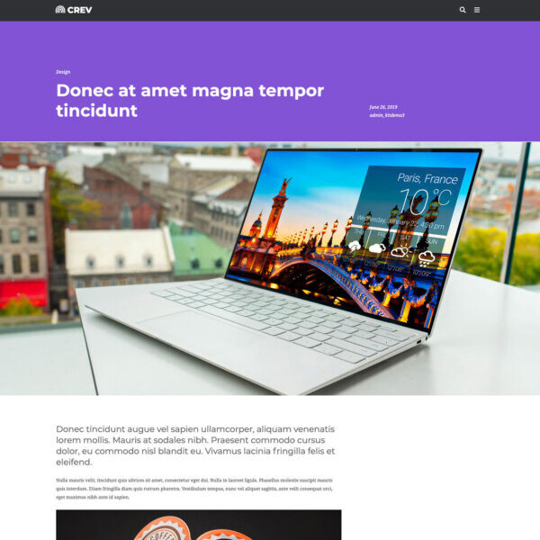 Premium Wordpress Elementor Template Kit Bundle | Creative & Design theme