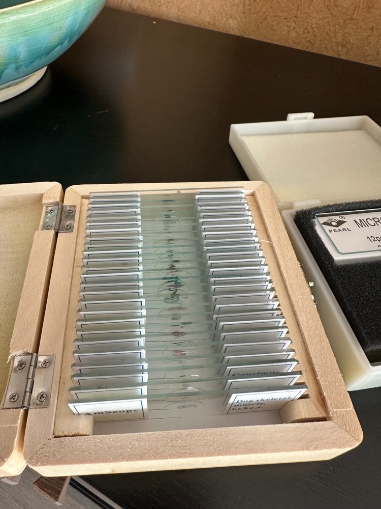 1000X LED Microscope & Slides