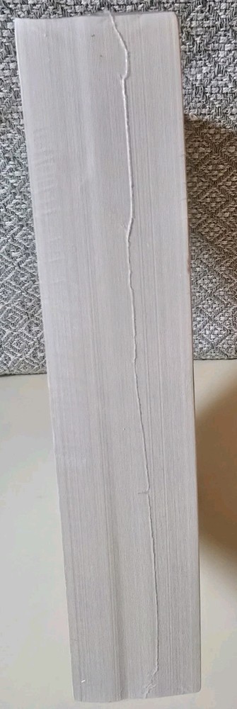 Belifun Comic Book Boards 100 Pack Current