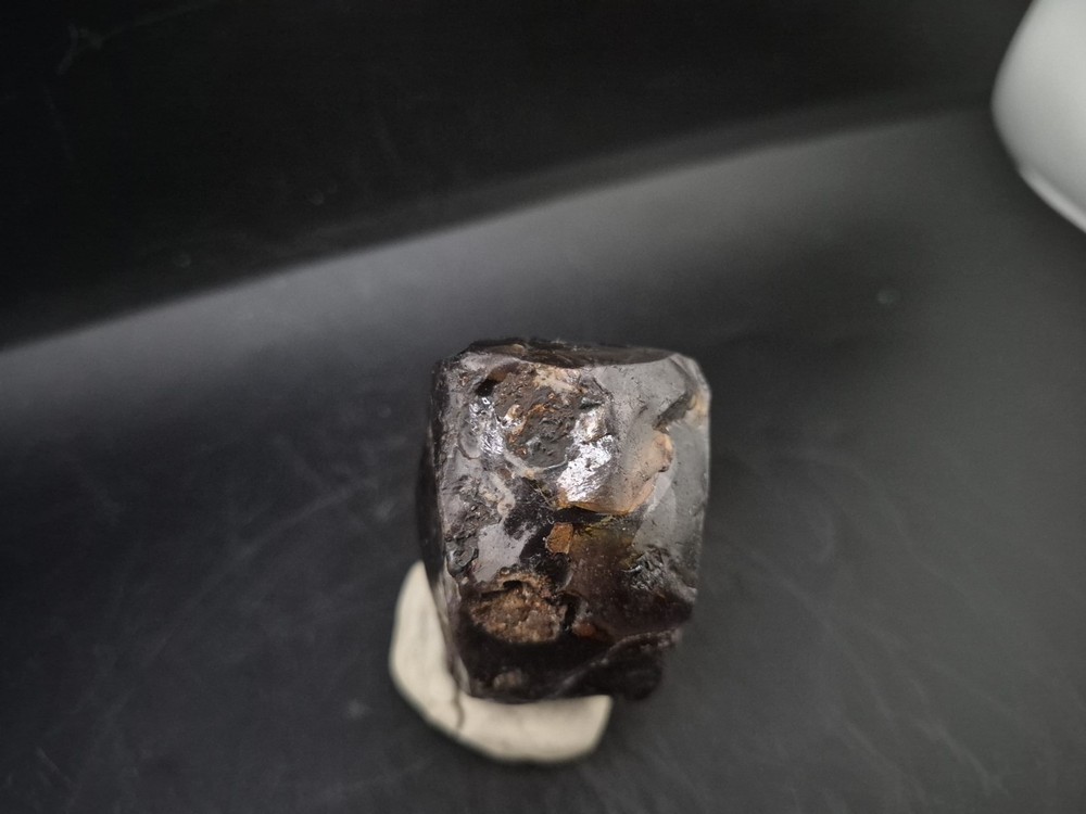 Real Fossil Dinosaur Egg Opalized
