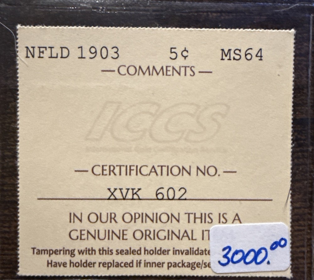 1903 Newfoundland Five Cents 5C - ICCS MS64 C6