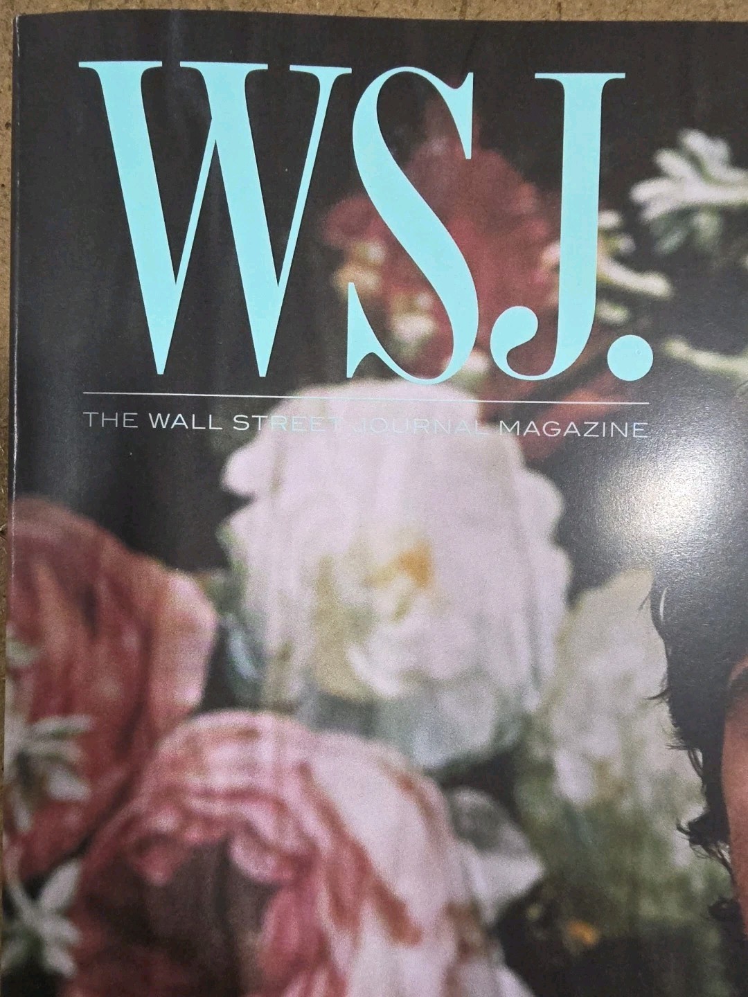 Oct 2025 Wall Street Journel Magazine JACOB ELORDI A Creation Story Issue 166