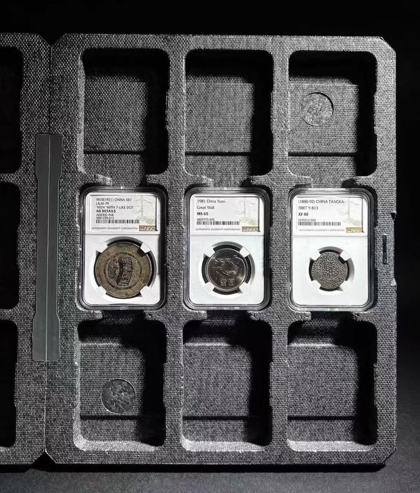 Storage Box / Protective Folder / Display Case For 18 NGC Slab Holders
