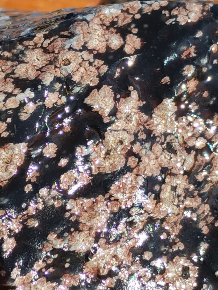 Snowflake Obsidian Rough Specimen