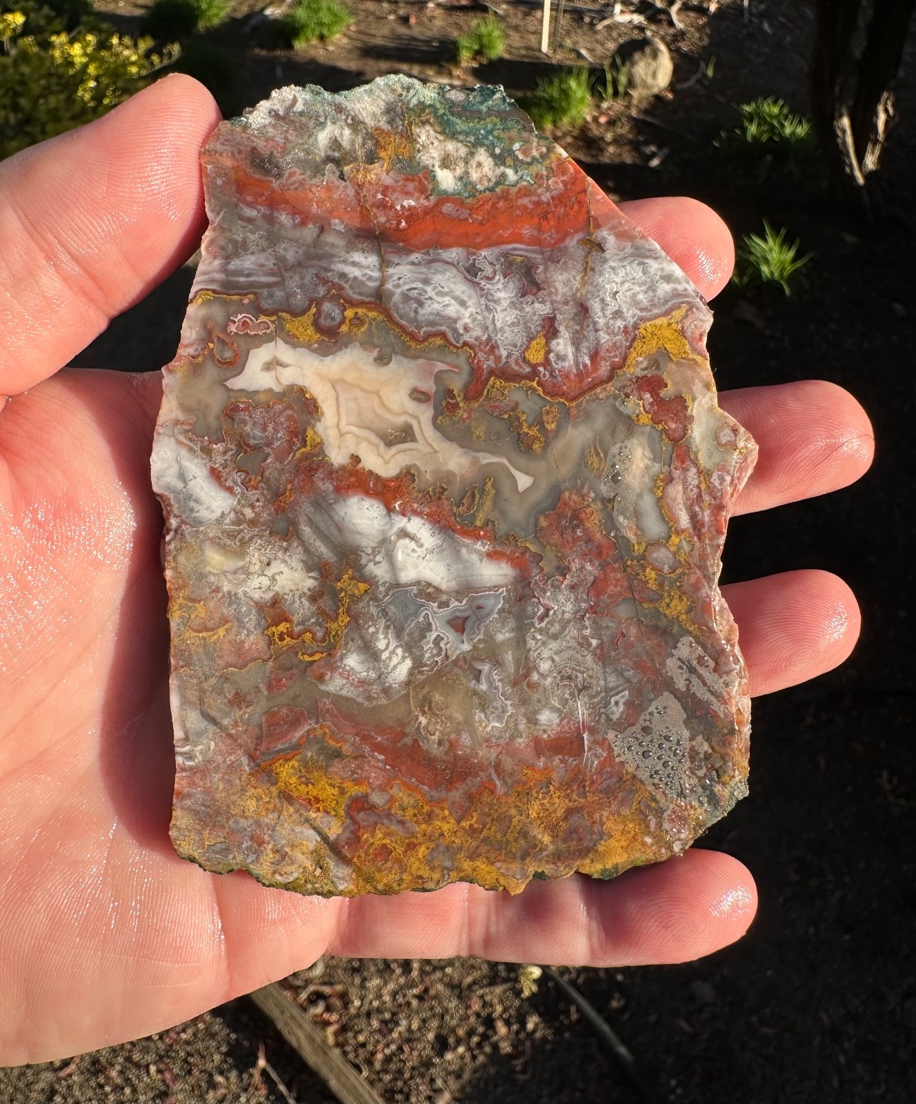 Moroccan Apple Valley Agate Slab, 3x4", Cabbing/Lapidary