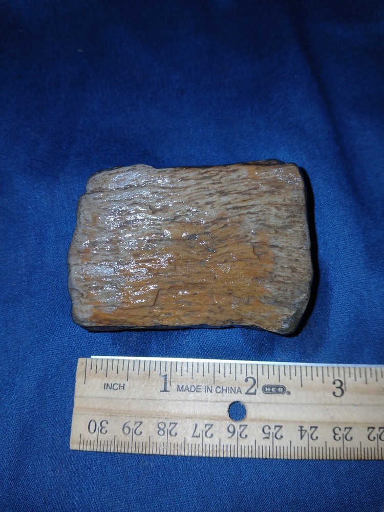 6 oz Texas Petrified Wood