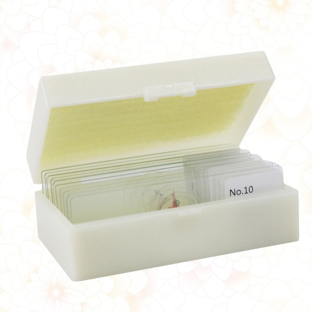 10 PCS/Set Specimen Slides for Microscope Calibration Sample Biology Lab