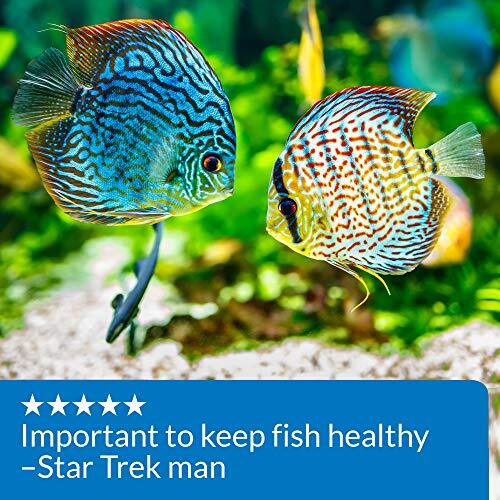 API pH UP Freshwater Aquarium Water pH Raising Solution 4-Ounce Bottle