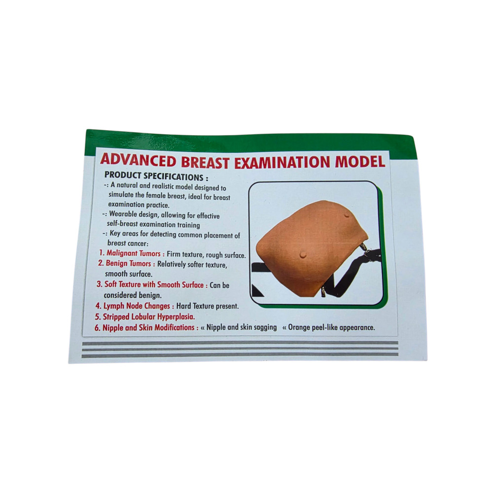 Advanced Breast Examination Model