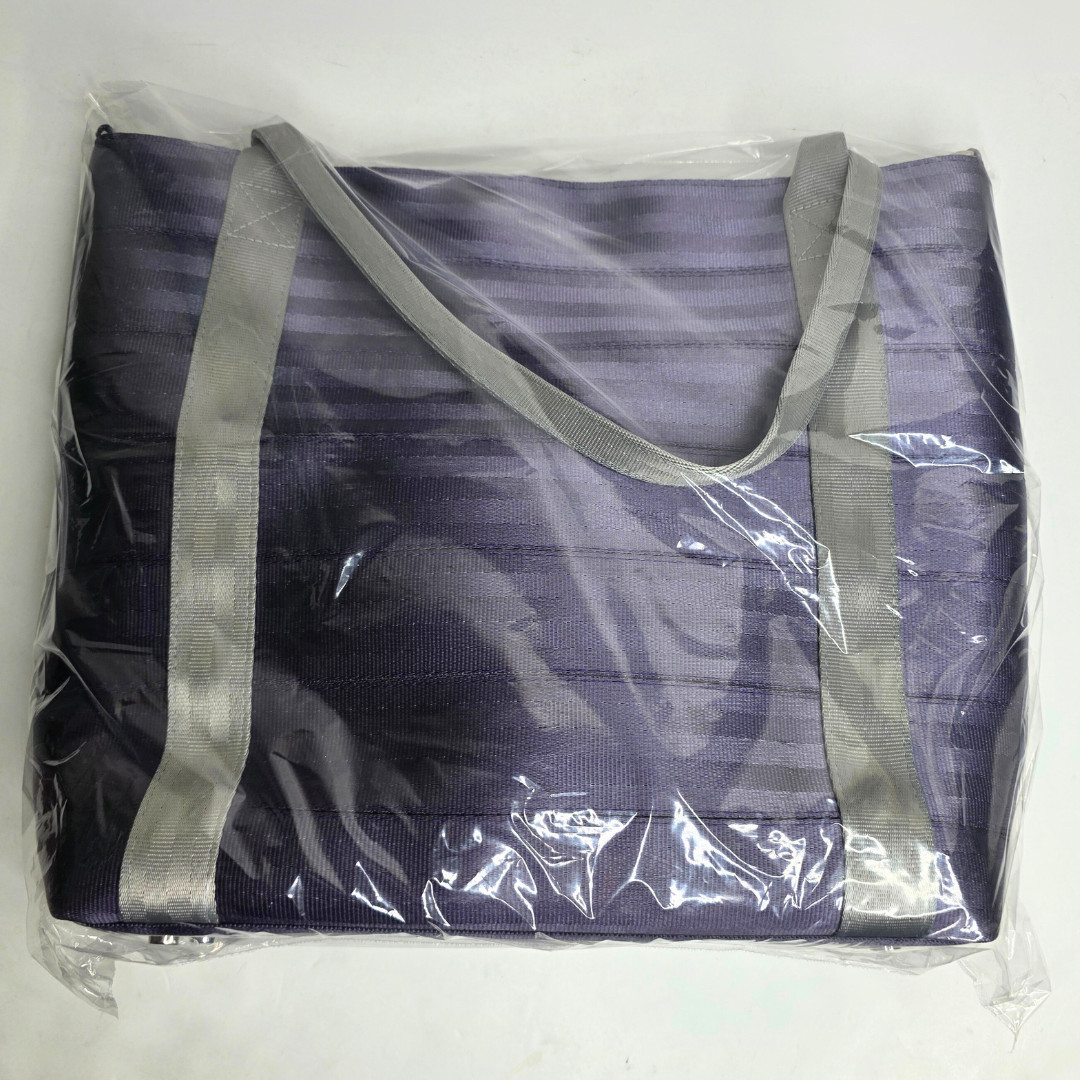 Disney Harveys Disneyland 70th Dumbo Fantasyland Tote Bag Purse - NEW IN HAND