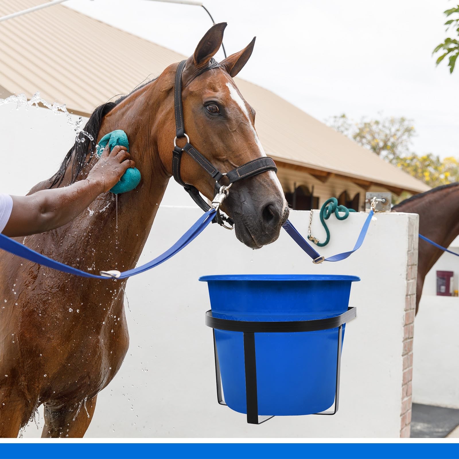 4 Pcs Heavy Duty Metal Bucket Holder 5 Gallon Horse Water Feed Bucket Holder ...