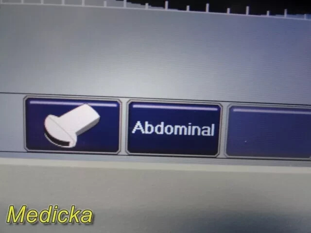 36099 |B@RD-Type SiteR¡te Vision Convex Probe | Ref 9770035 | Used, Tested