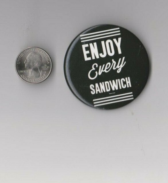 Warren Zevon inspired pin