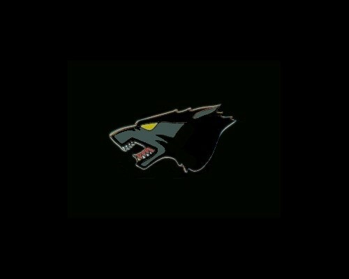USAF Wolfpack pin 1.25" with two clutches