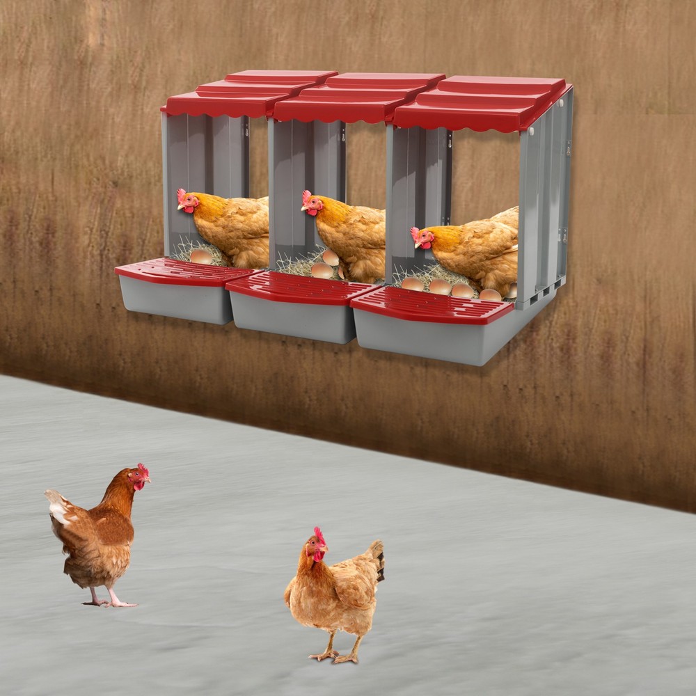 3-Compartment Chicken Nesting Box for Efficient Egg Laying and Easy Collection