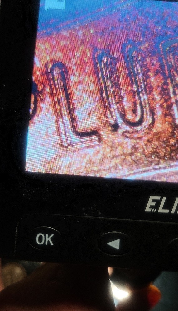 2024 P DDO/DDR Lincoln Cent