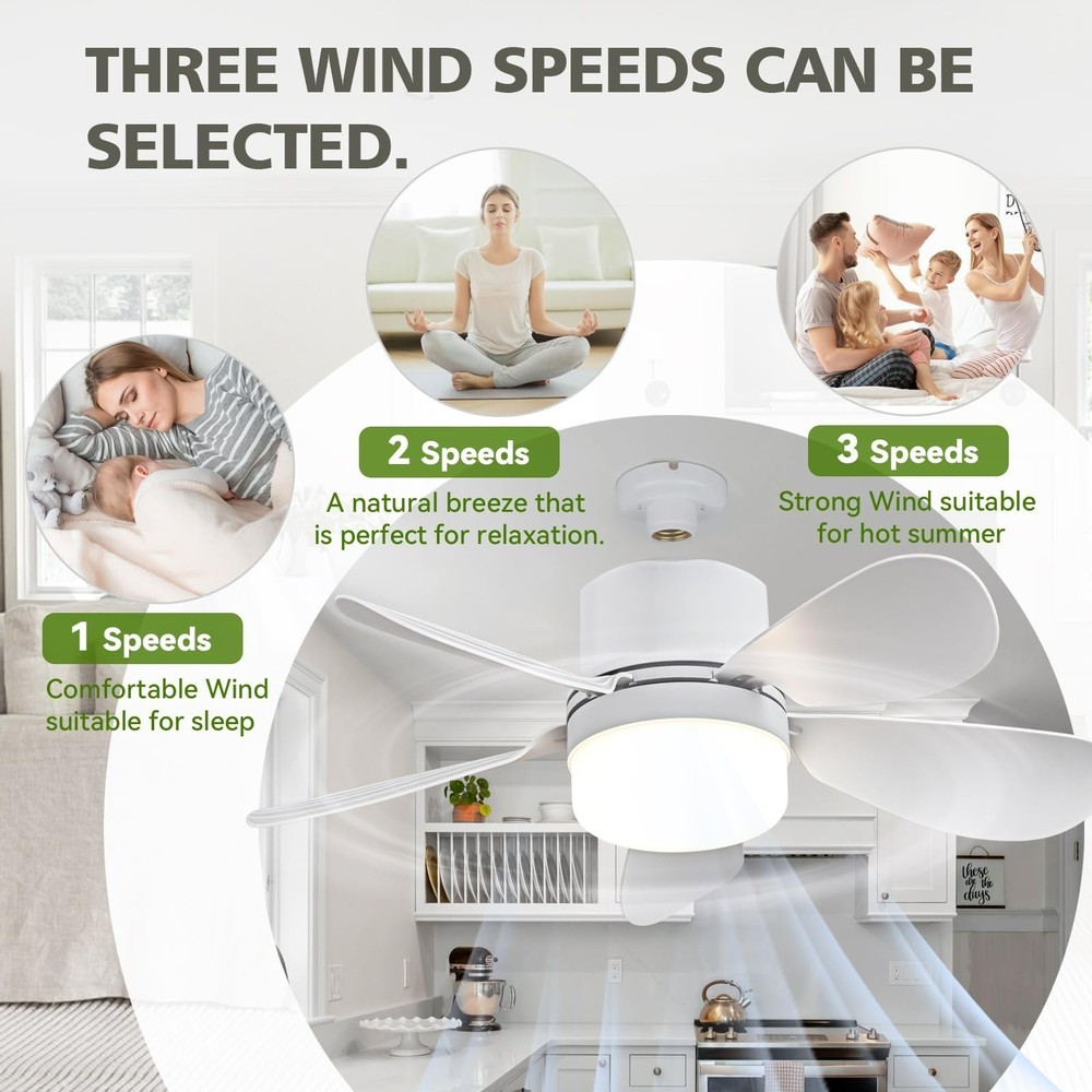 Screw-in Ceiling Fan Light E26E27 Base with Remote-Dimmable Socket Lamp for Home
