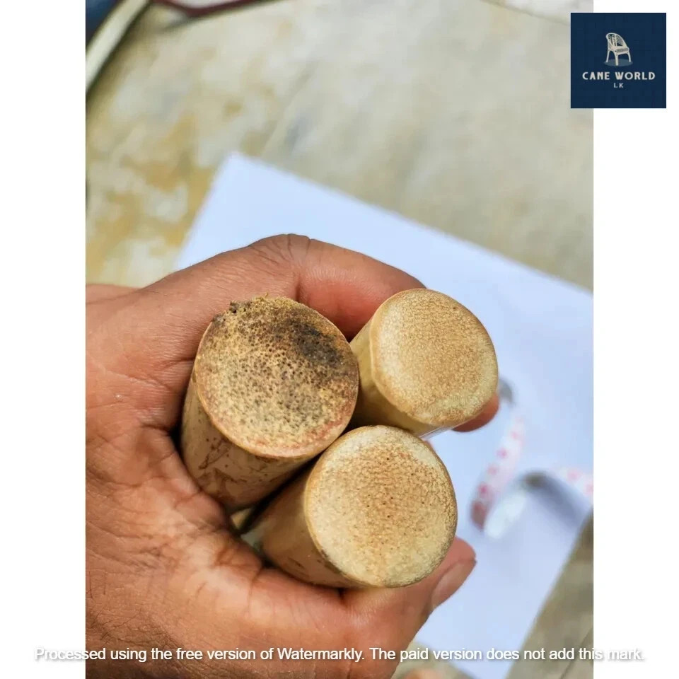 Escrima Kali Arnis Multi Node Sticks Plain Rattan Wskin 28”/1" 2 Sticks ( pair)