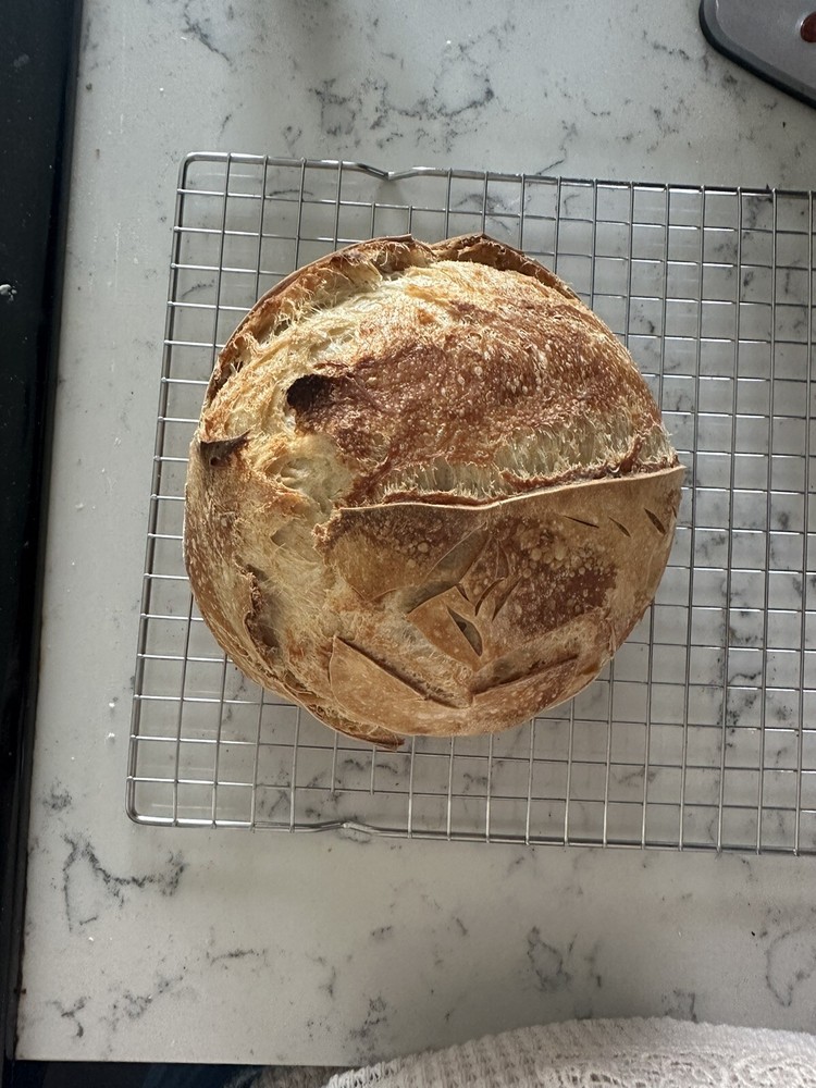 sourdough starter, Freeze dried and sealed
