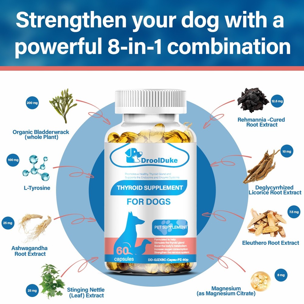Dog thyroid supplements help with growth and development regulate metabolism 60p