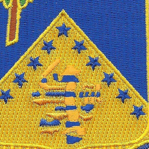 125th Infantry Regiment Patch