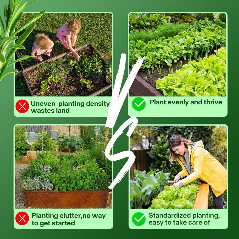 Litime Seed Spacing Template