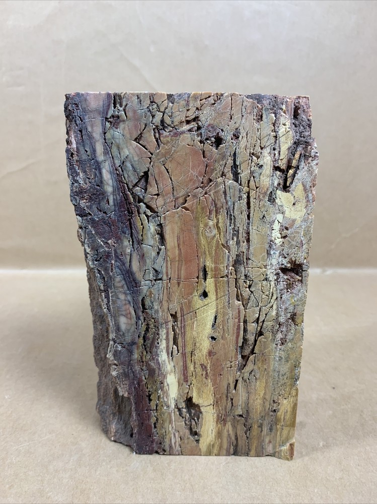 Fossil Petrified Wood & other Rocks