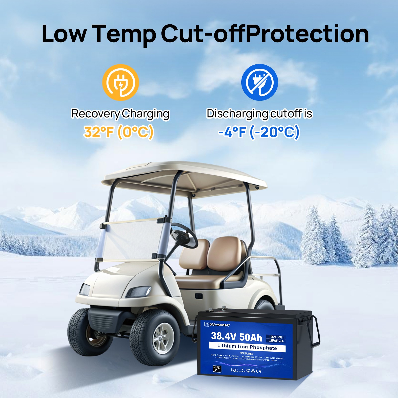ECO-WORTHY 36V 50AH Lithium Golf Carts Lifepo4 Battery with 36V 25A Charge