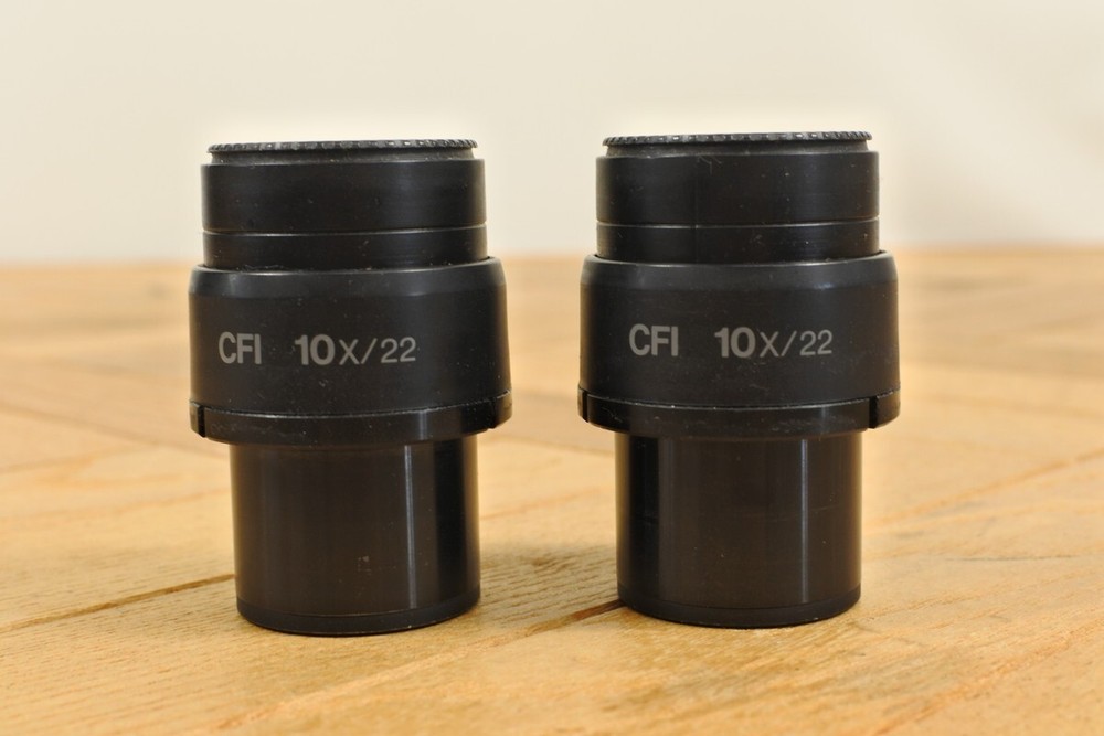 Nikon CFI 10X/22 Microscope Eyepiece Pair for Eclipse, E & I Series from Japan
