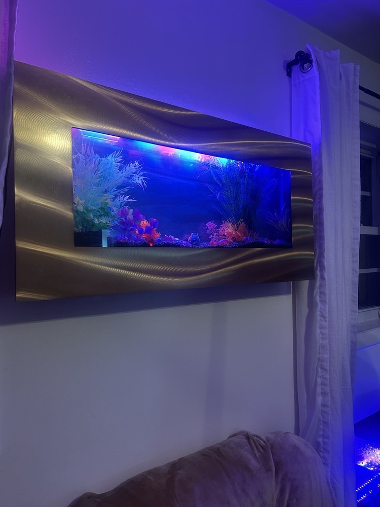 Aquarium Wall Tank 5 Gallon