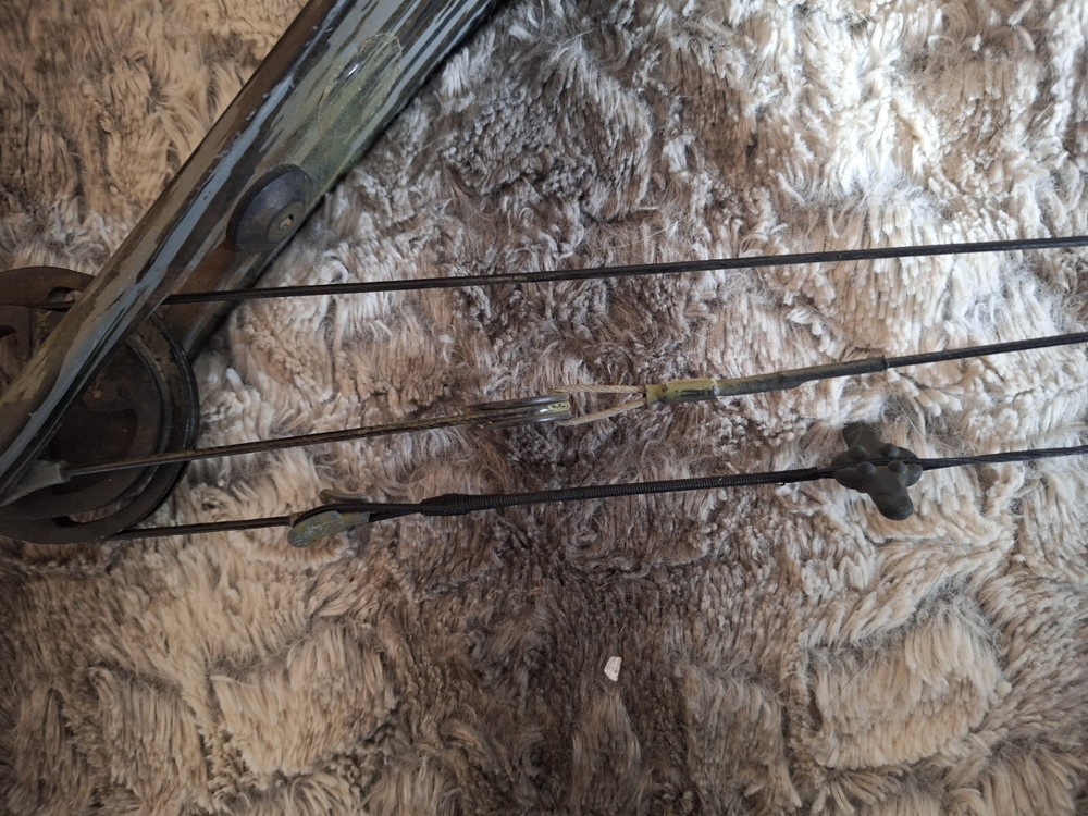 Bear Flare II Compound Bow Camo