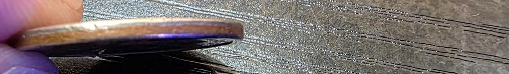 ​2010 Native American Dollar - MISSING EDGE LETTERING Error