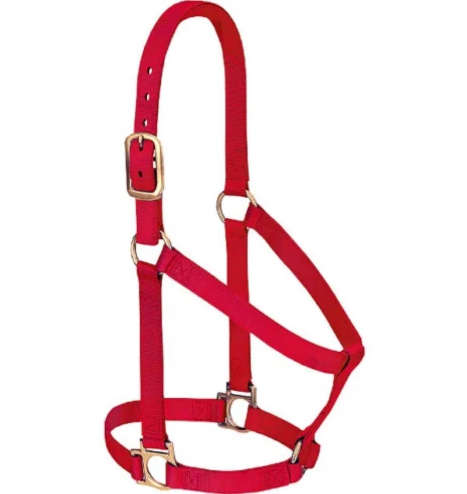 WEAVER Nylon RED Basic Non-adjustable Horse Halter 1" Average Weanling Draft