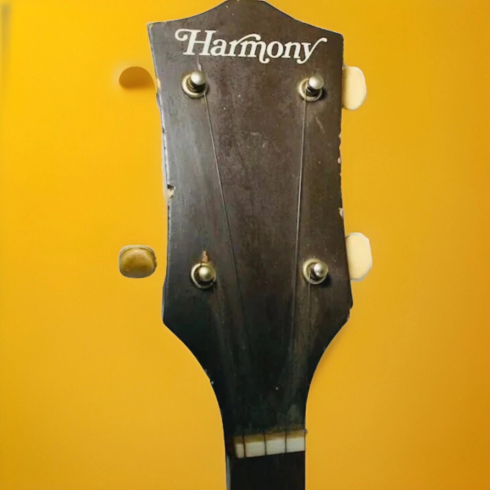 Harmony 5 String Banjo