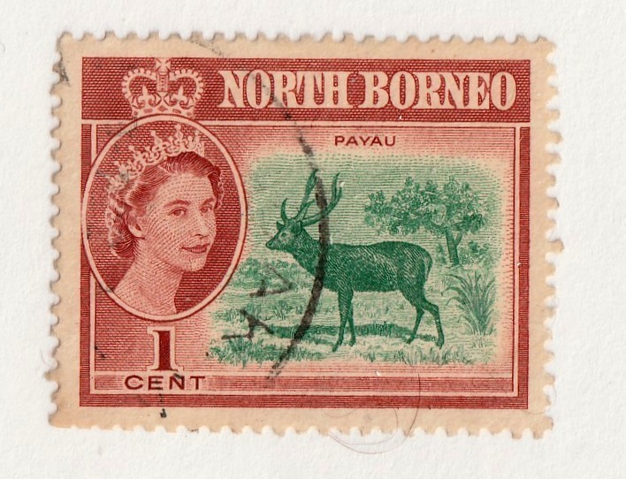 North Borneo       280           used
