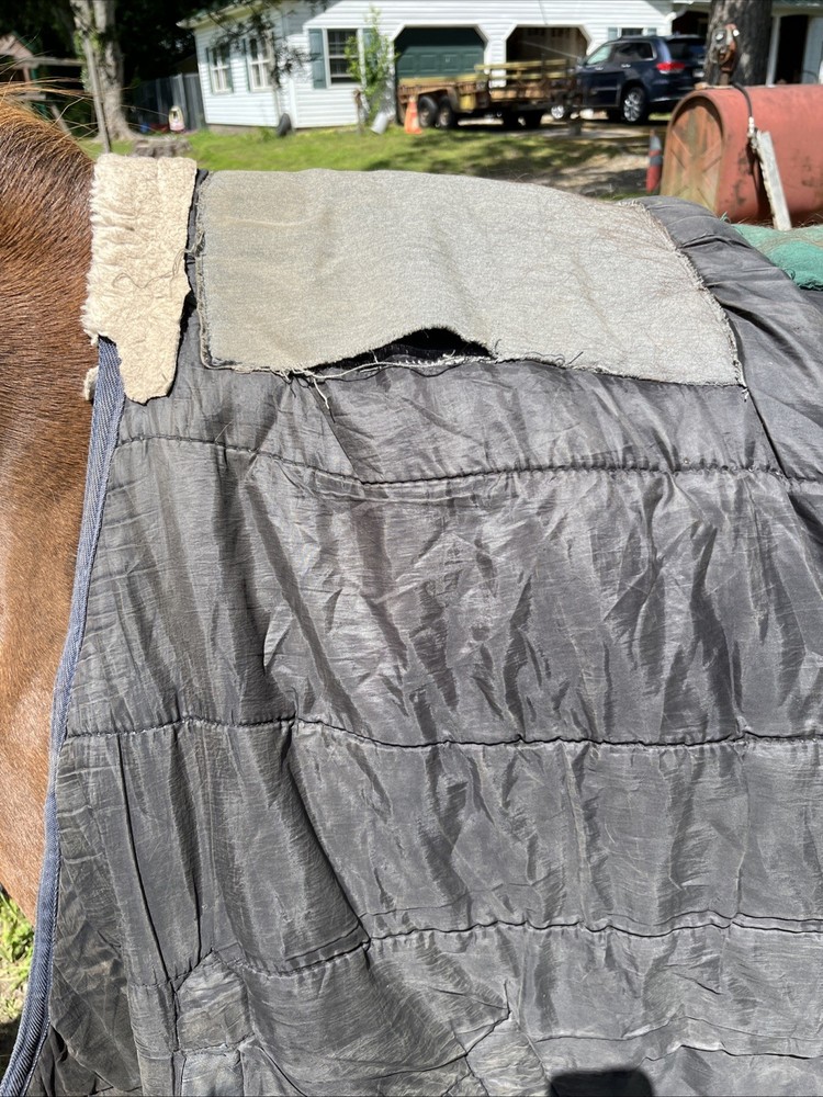 Schneiders Medium Weight 72” Blanket