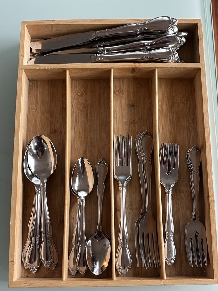 Oneida Community Chatelaine 49 piece Stainless Flatware Set *READ*